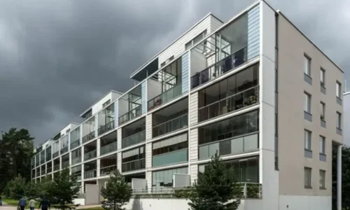 Какие новые категории будут популярны в 2026 году